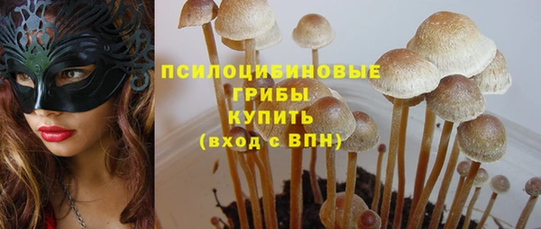 ешки Балахна