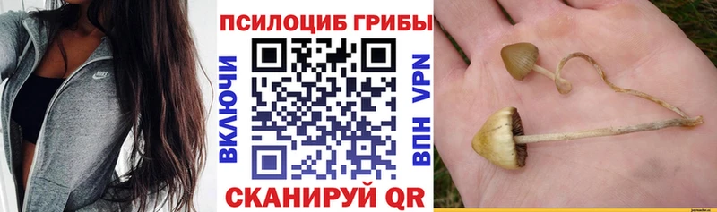 Псилоцибиновые грибы ЛСД  где можно купить наркотик  Щёкино 